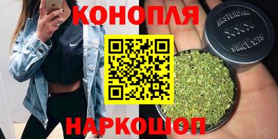 сатива Краснодар