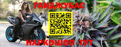 сатива Краснодар