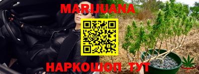 шишки Краснокаменск