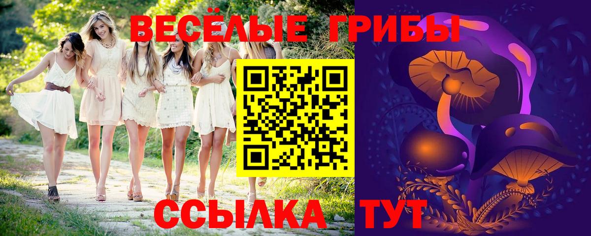 Галлюциногенные грибы Psilocybine cubensis  Вход с VPN  Дубна 